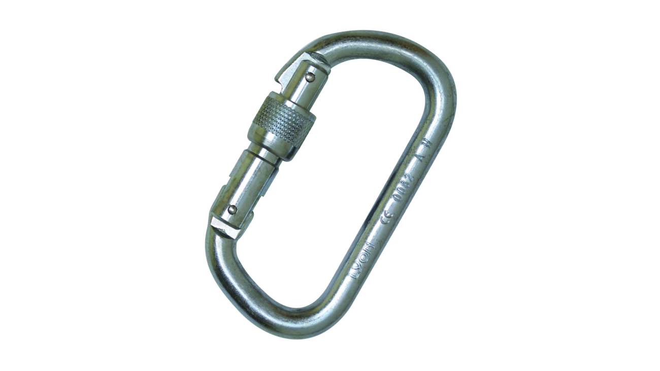 Groupe Foin Steel 'D' Screwgate Karabiner